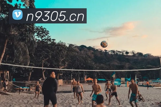 华体会综合体育登录APP 封面图